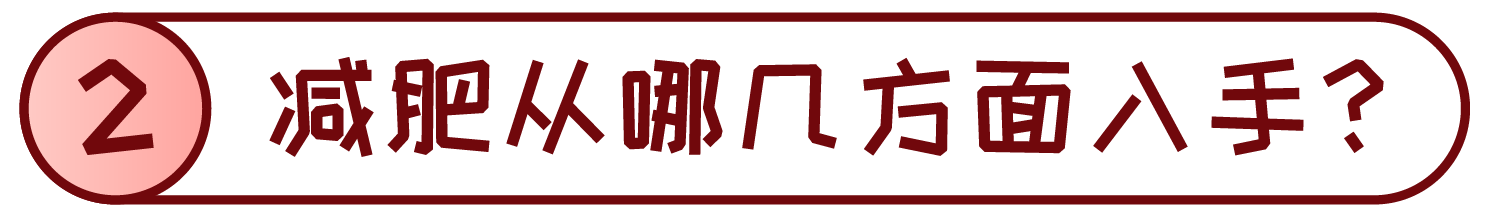 1548226929371785ovC2.png